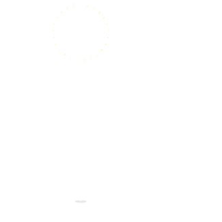 Zintz Team Logo